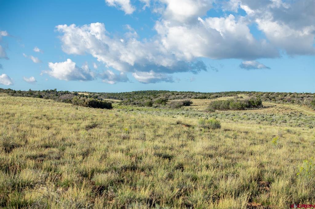 Tbd Road X Property Photo 34