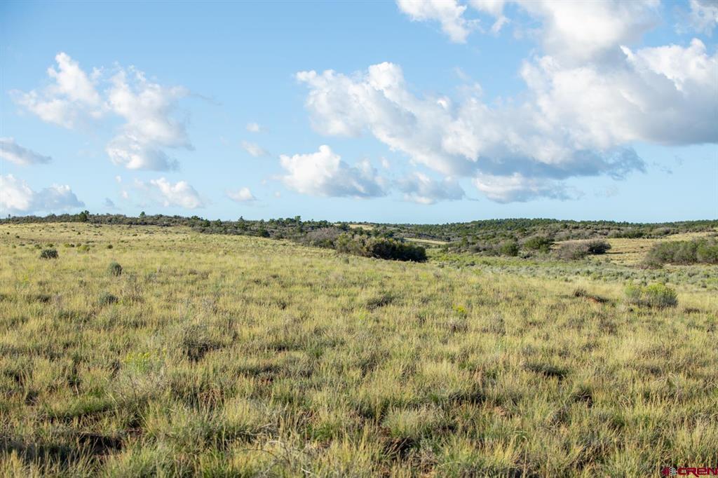Tbd Road X Property Photo 35