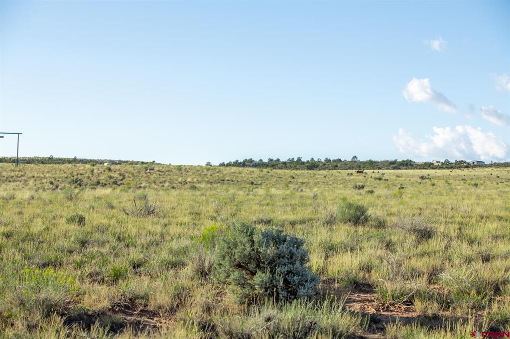 Tbd Road X Property Photo 37