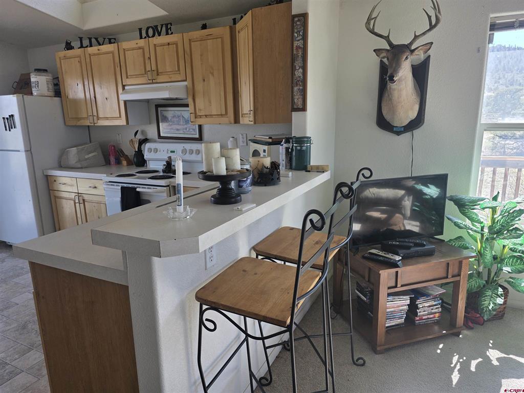 596 Antelope Trail Property Photo 15