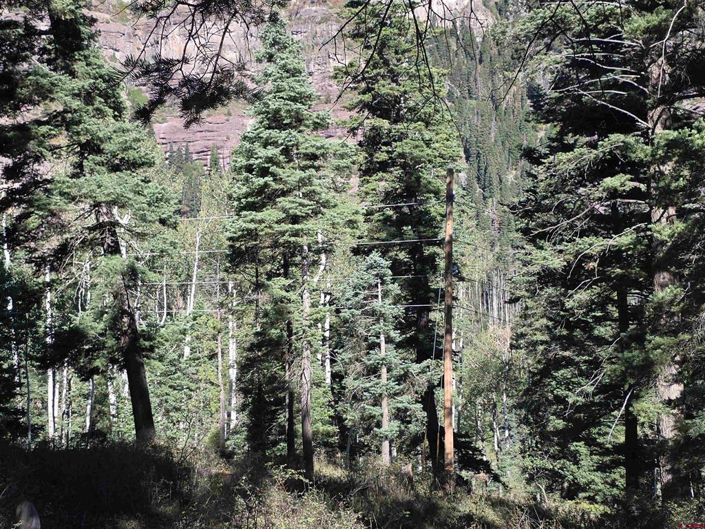 Tbd County Rd 361 Property Photo 17