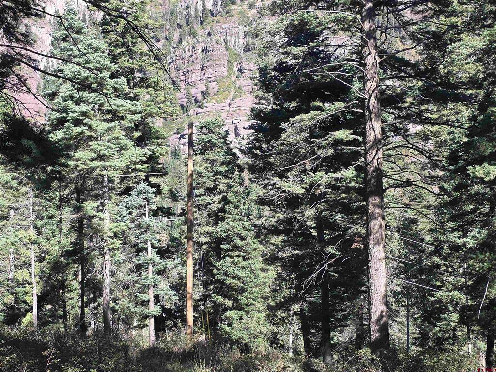 Tbd County Rd 361 Property Photo 18