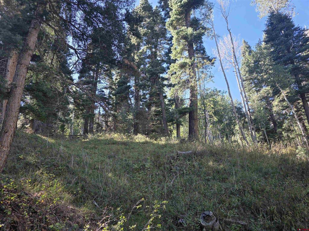 Tbd County Rd 361 Property Photo 22