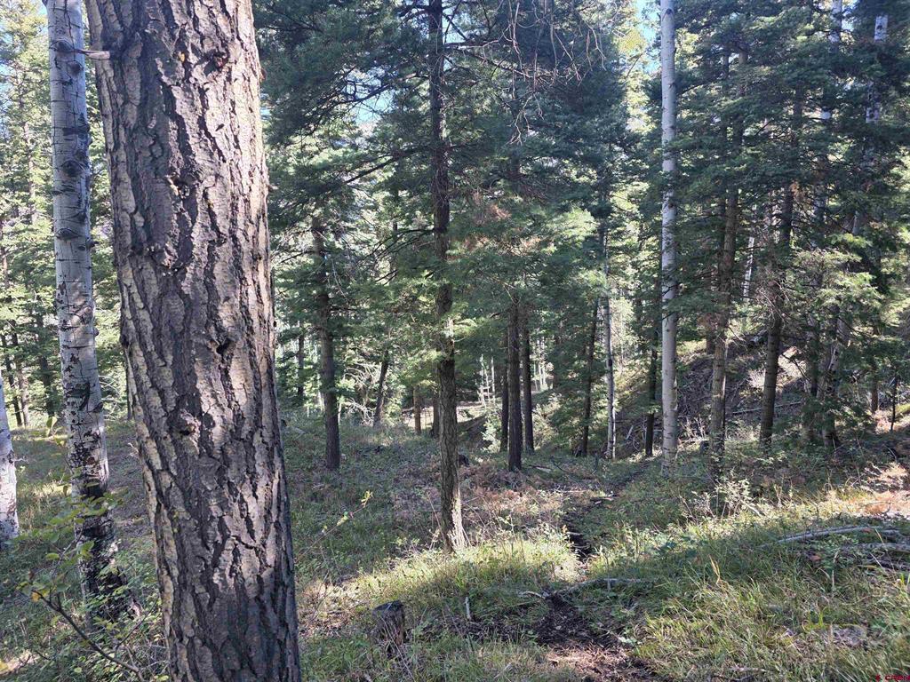 Tbd County Rd 361 Property Photo 23