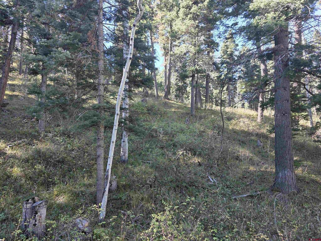 Tbd County Rd 361 Property Photo 24