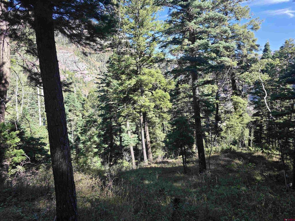 Tbd County Rd 361 Property Photo 25