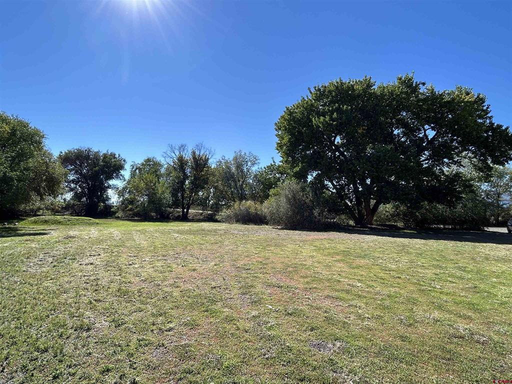 1563 Sw 9th Street Property Photo 3