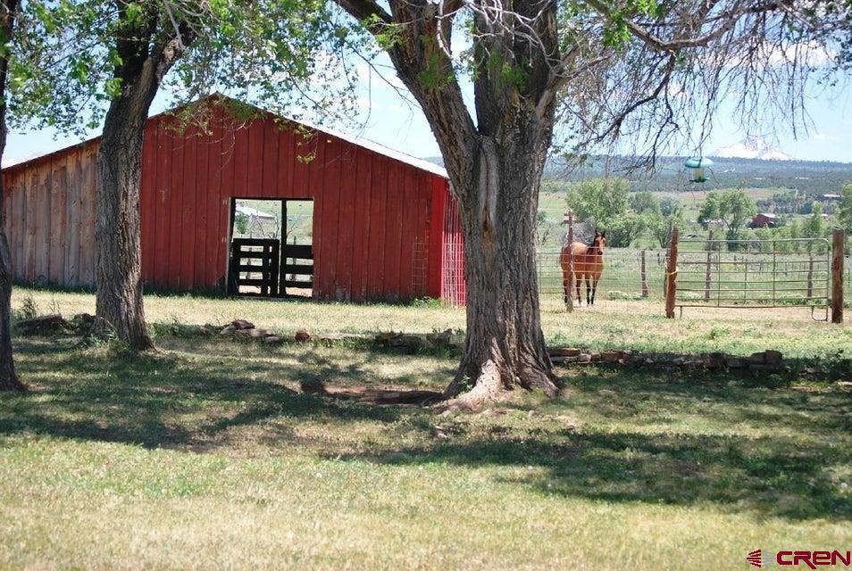 392 County Road 43zs Property Photo 12