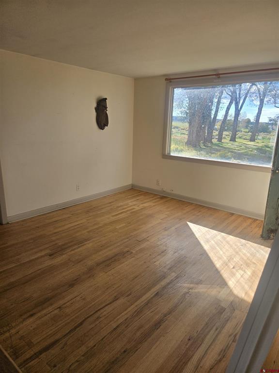392 County Road 43zs Property Photo 40