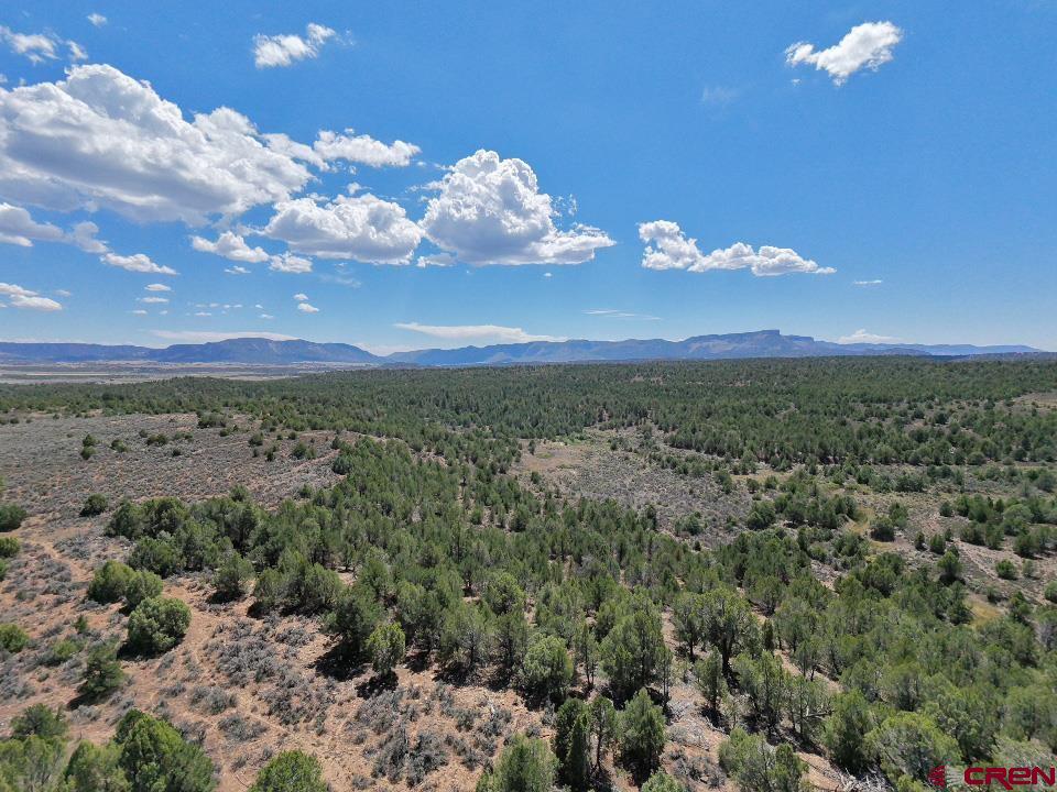 Tbd - Lot 1 Hwy 184 Property Photo 3