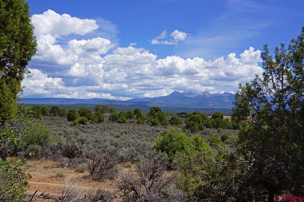 Tbd - Lot 1 Hwy 184 Property Photo 4