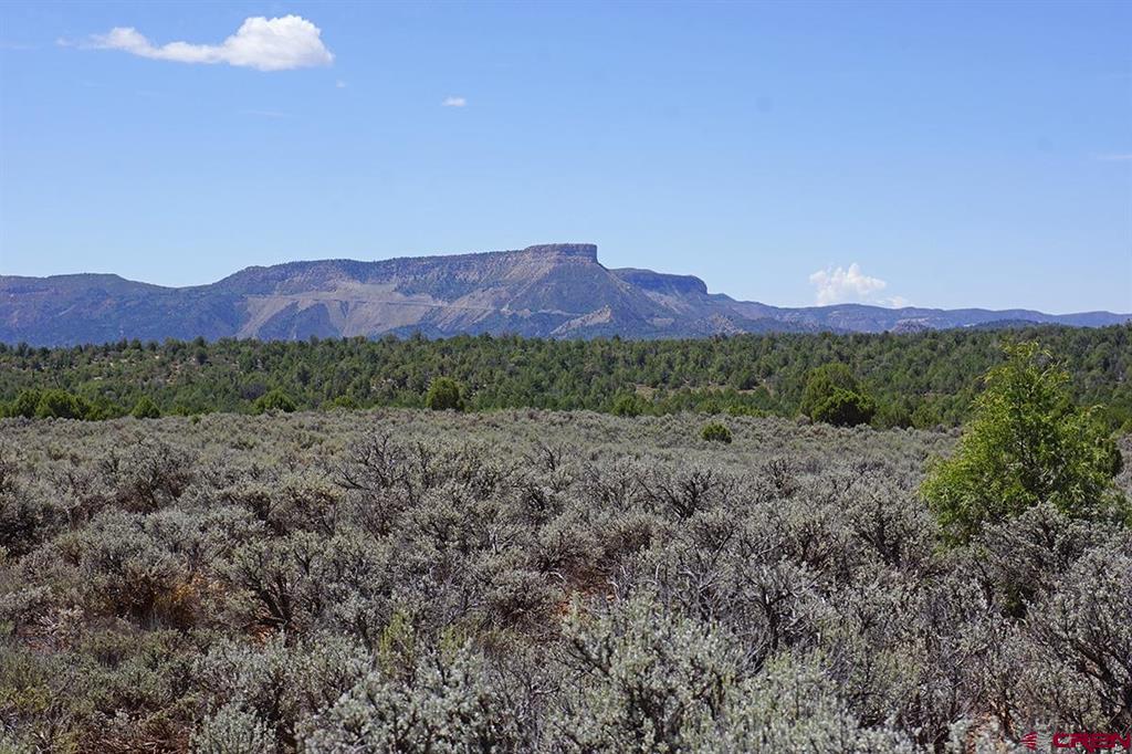 Tbd - Lot 1 Hwy 184 Property Photo 6
