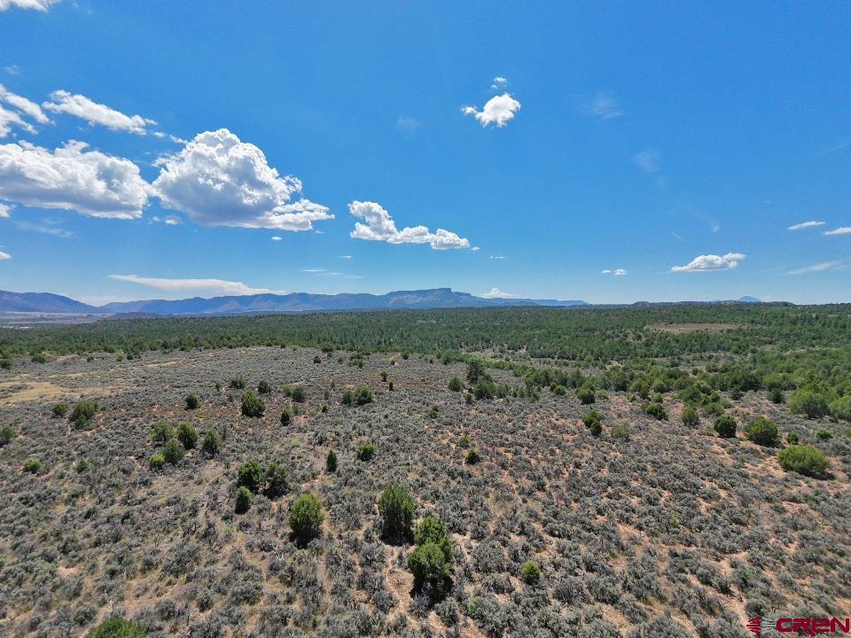 Tbd - Lot 1 Hwy 184 Property Photo 9