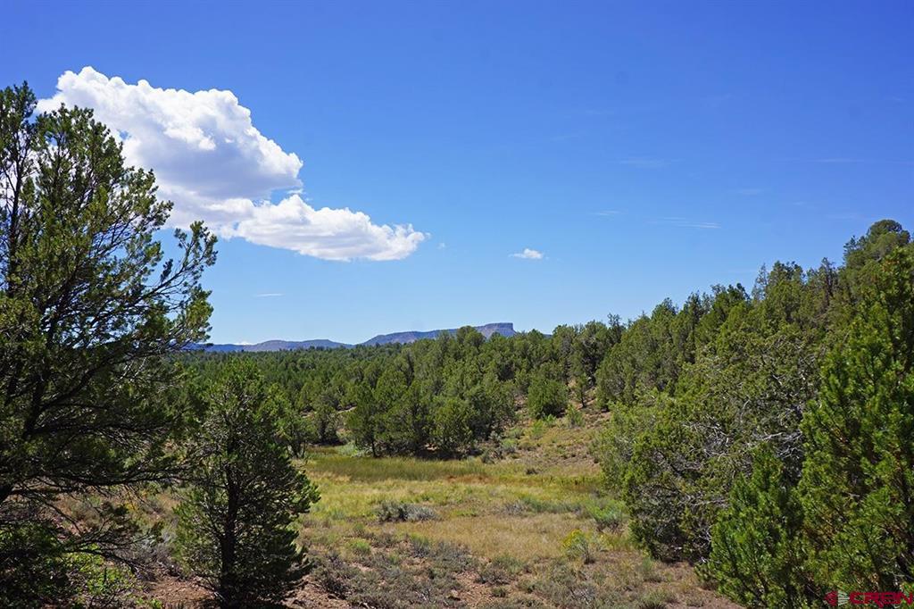 Tbd - Lot 1 Hwy 184 Property Photo 10