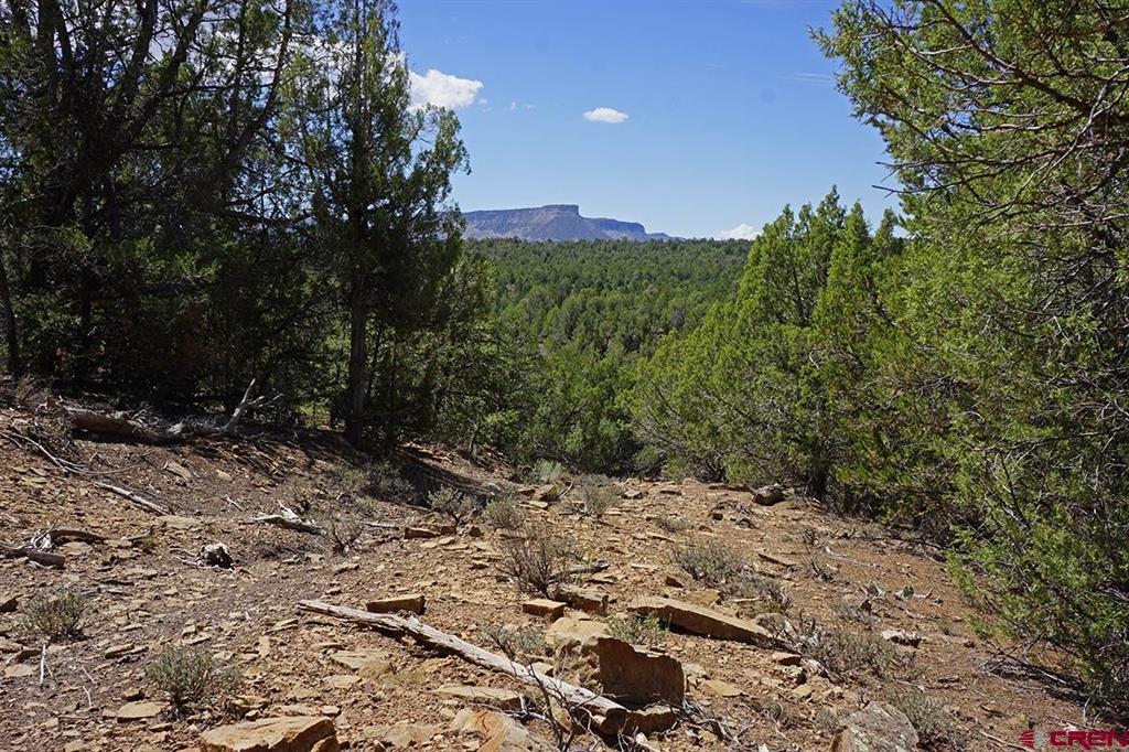 Tbd - Lot 1 Hwy 184 Property Photo 11