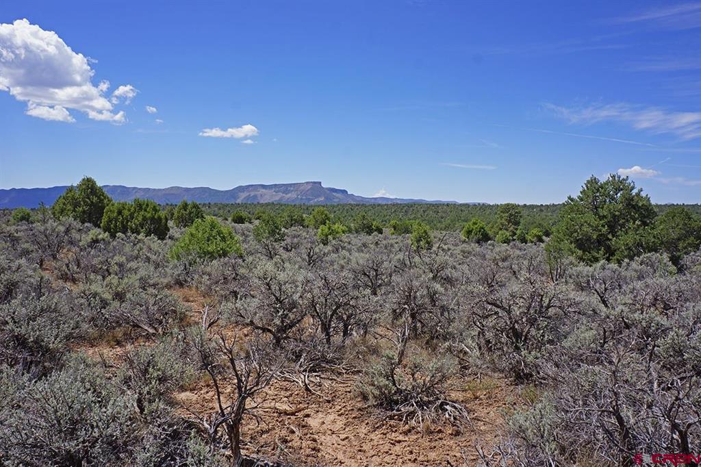 Tbd - Lot 1 Hwy 184 Property Photo 15