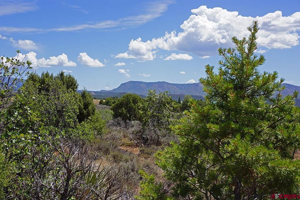 Tbd - Lot 1 Hwy 184 Property Photo 17
