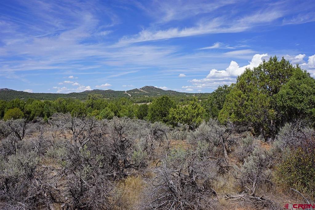 Tbd - Lot 1 Hwy 184 Property Photo 18