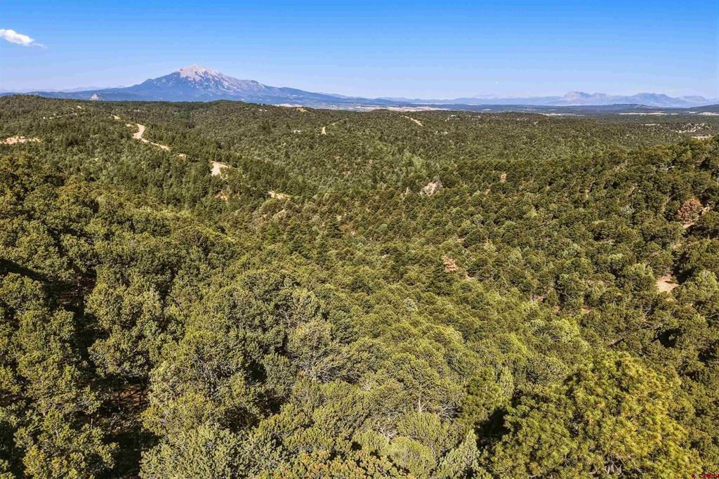 93 Blackhawk Ranch Property Photo 22