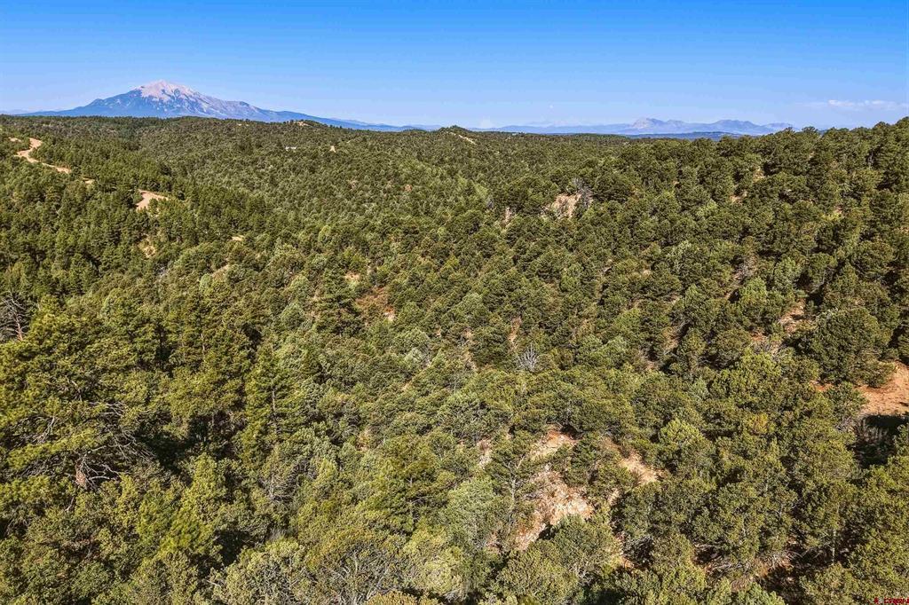 93 Blackhawk Ranch Property Photo 23