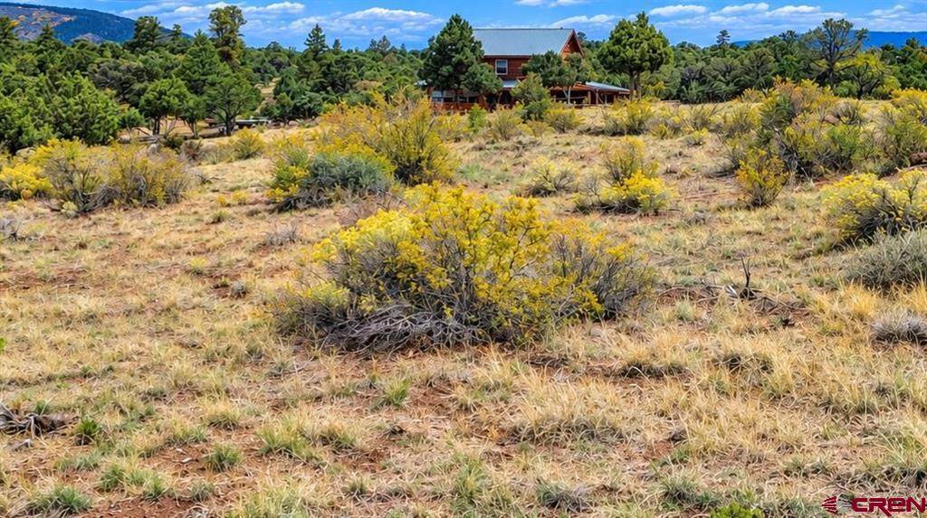 463 Wildhorse Trail Property Photo 1