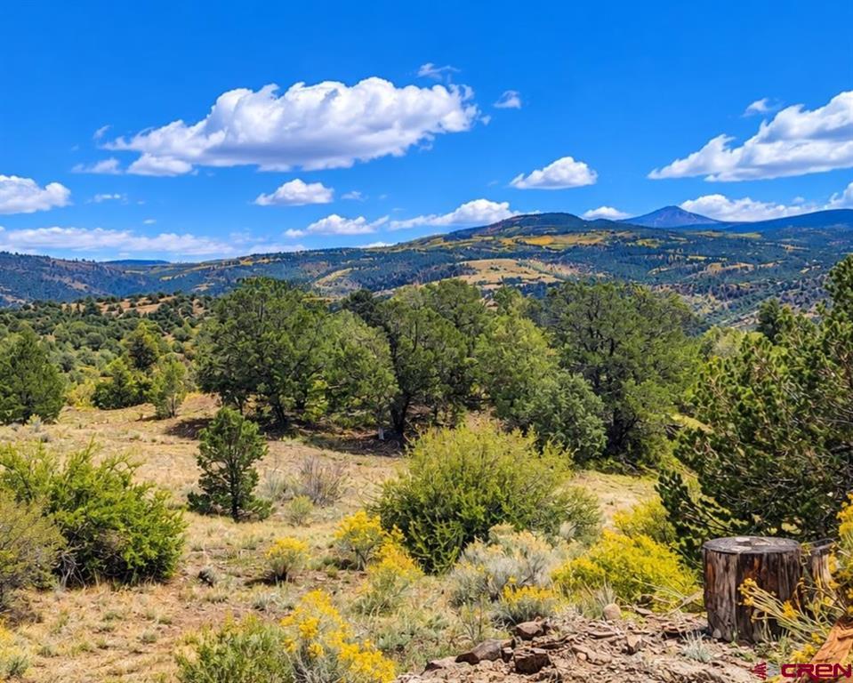 398 Wild Horse Trail Property Photo 2