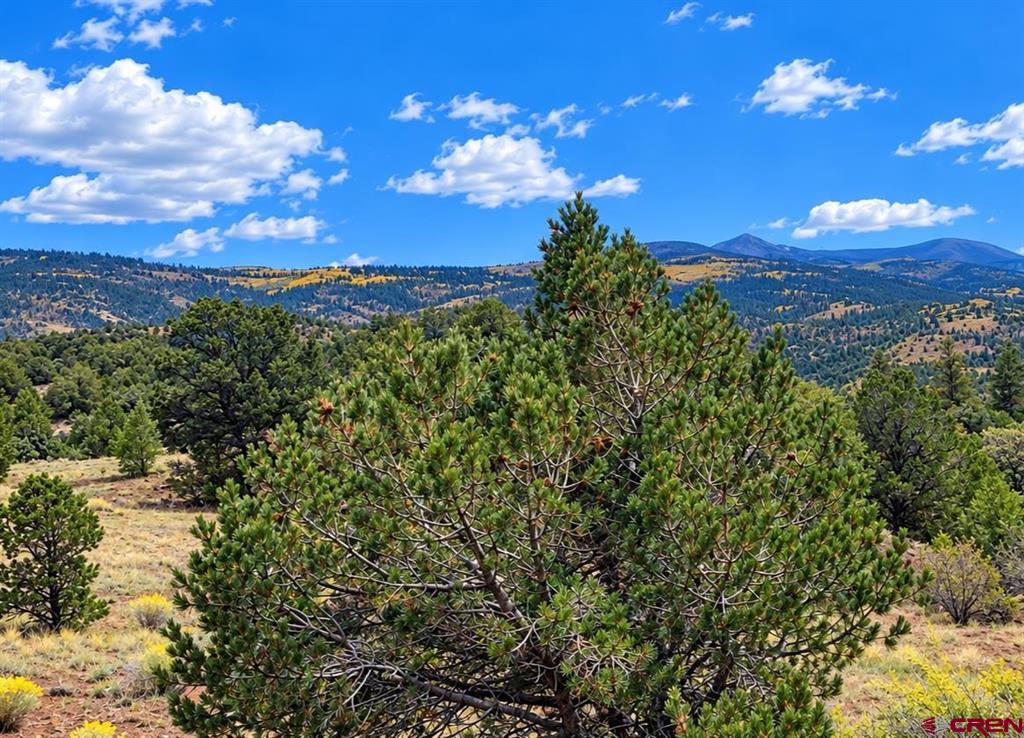 398 Wild Horse Trail Property Photo 3