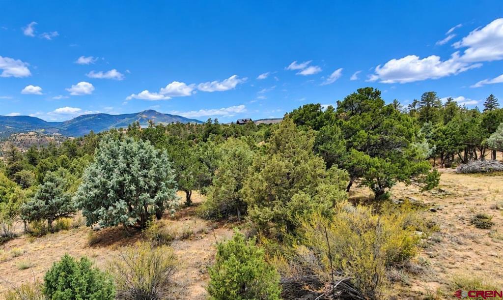 398 Wild Horse Trail Property Photo 4