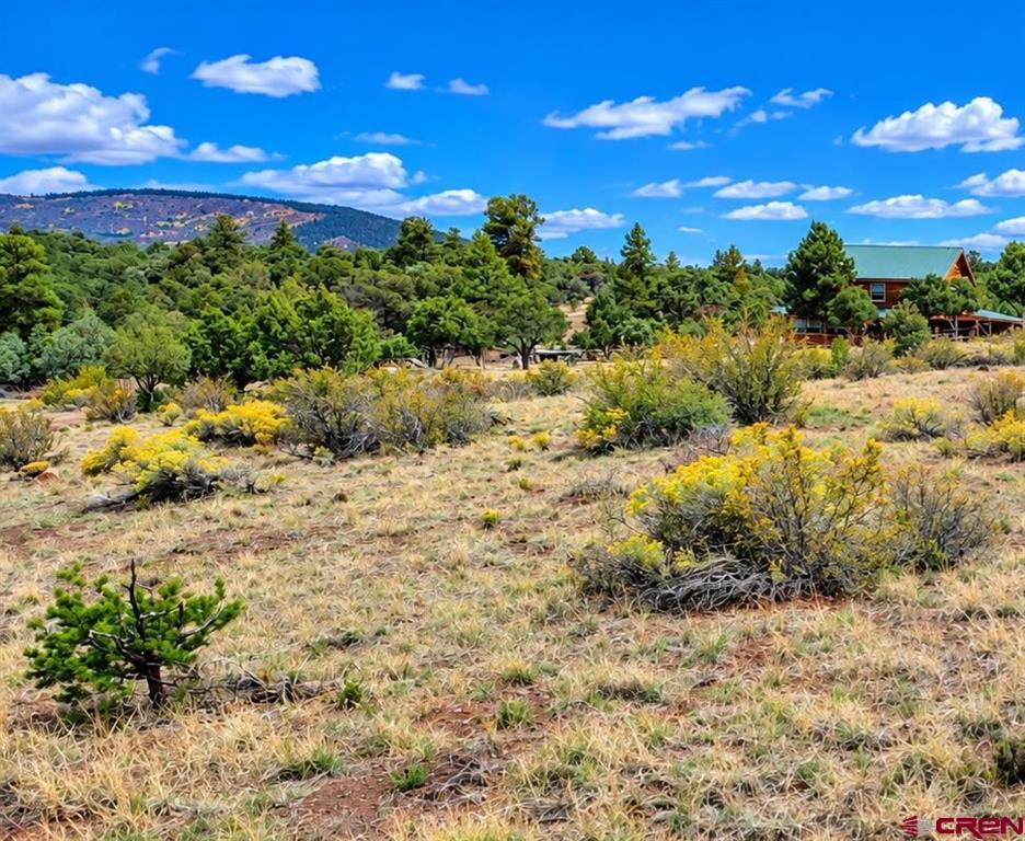 398 Wild Horse Trail Property Photo 5