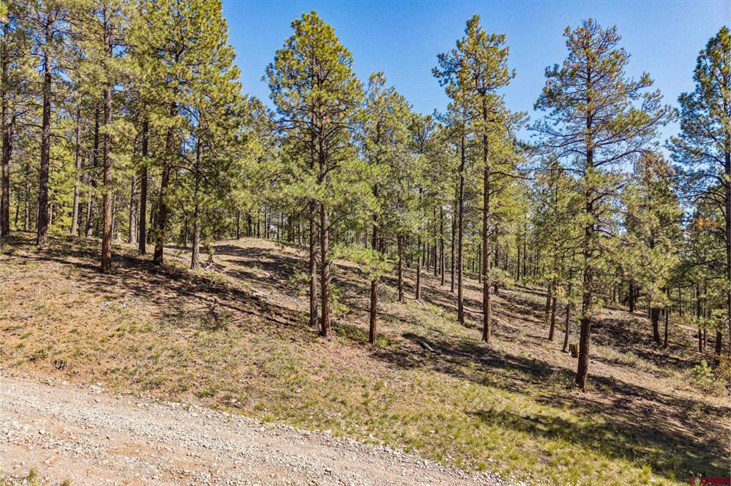 264 Badger Road Property Photo 8