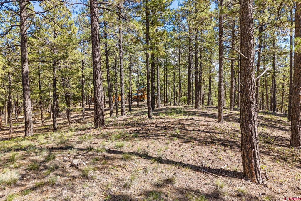 264 Badger Road Property Photo 10