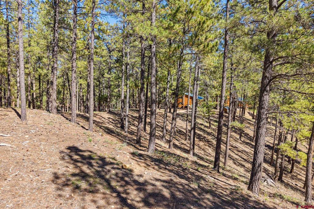 264 Badger Road Property Photo 13