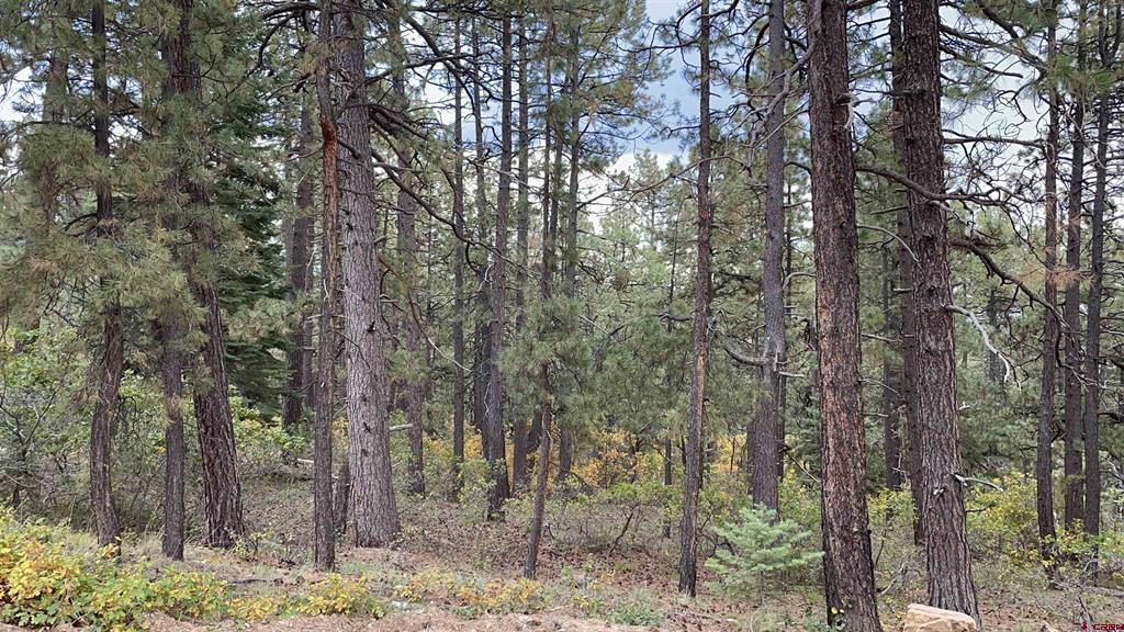 366 & 394 Pine Ridge Drive Property Photo 1