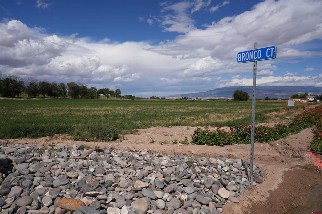 Tbd Lot 1 Bronco Court Property Photo 8