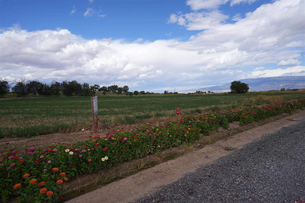 Tbd Lot 1 Bronco Court Property Photo 9