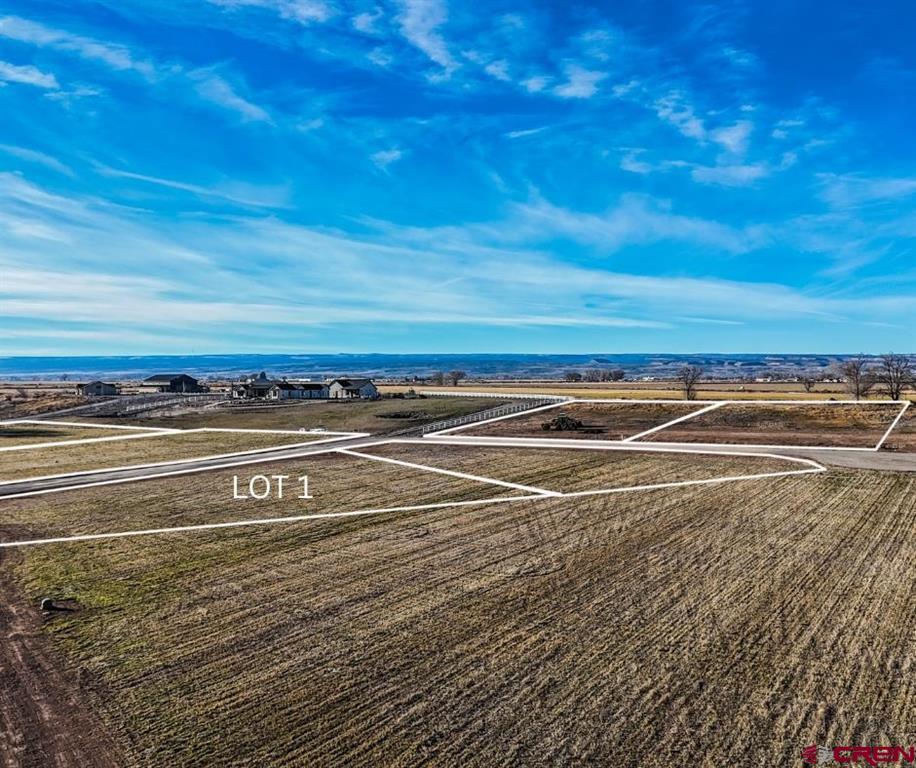 Tbd Lot 1 Bronco Court Property Photo 12