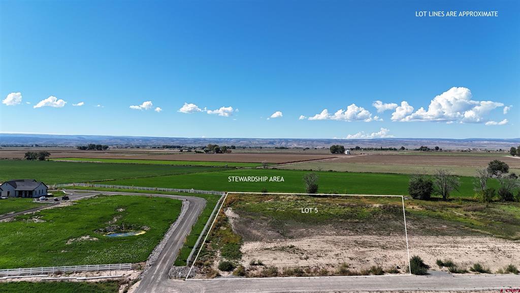 Tbd Lot 5 Bronco Court Property Photo 2