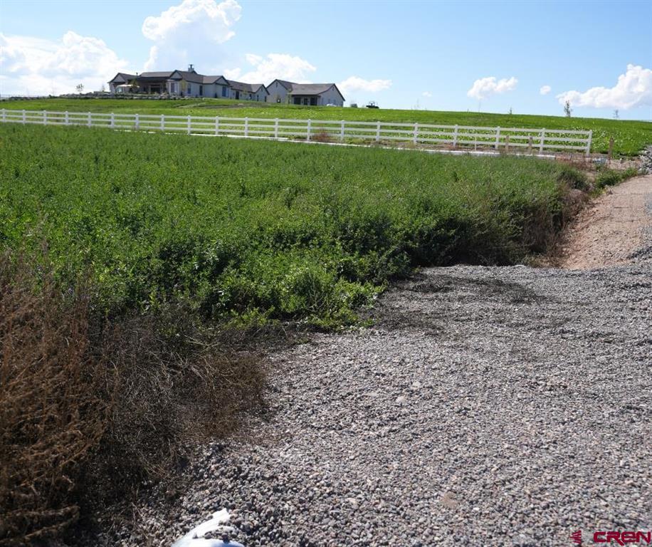 Tbd Lot 8 Bronco Court Property Photo 8
