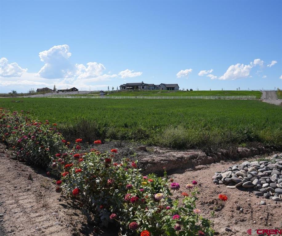 Tbd Lot 8 Bronco Court Property Photo 9