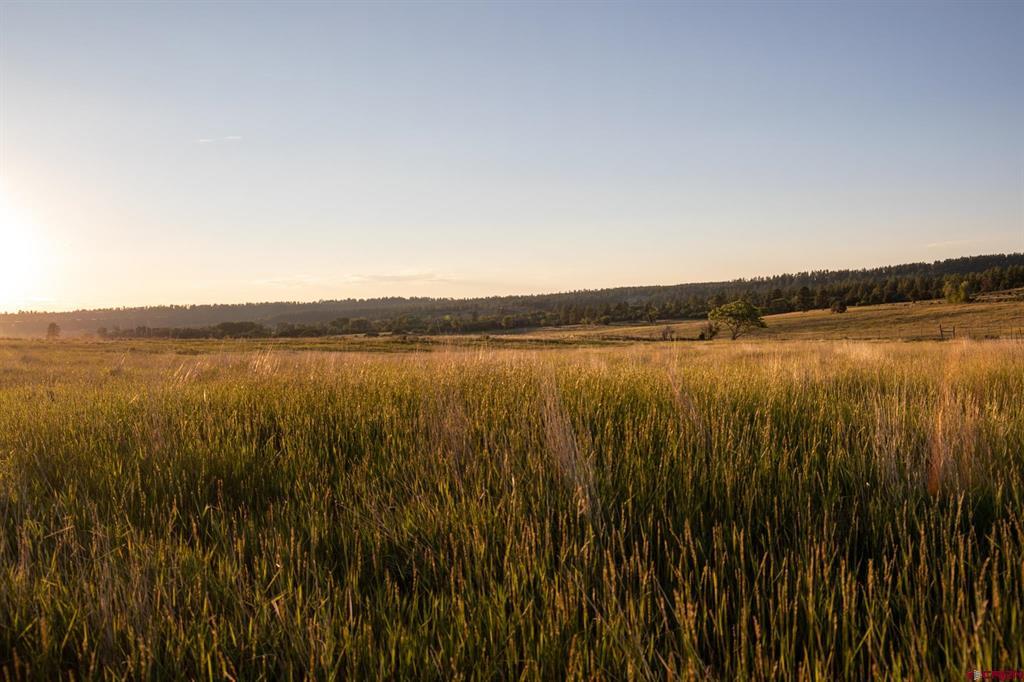 44401 & 44501 160 Highway Property Photo 5