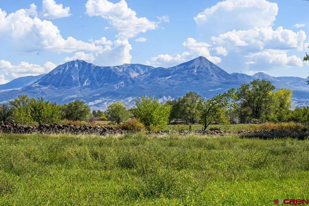 31415 92 Highway Property Photo 42