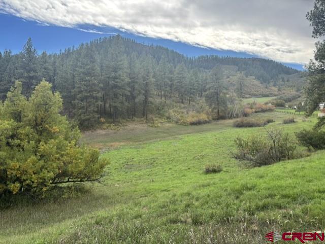 182 Little Bear Drive Property Photo 1