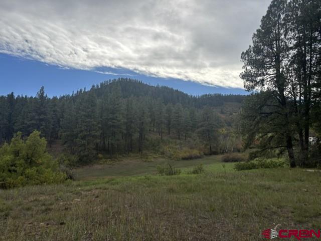 182 Little Bear Drive Property Photo 2