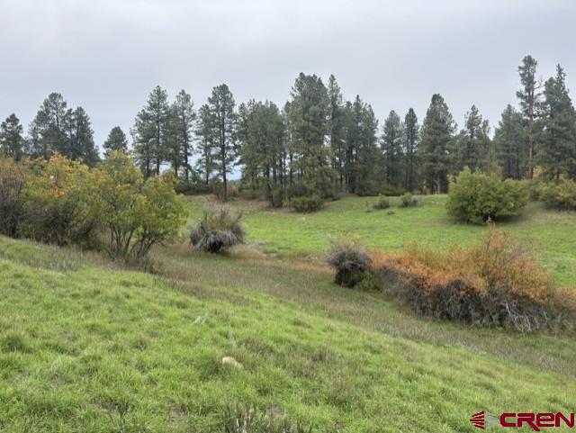 182 Little Bear Drive Property Photo 4