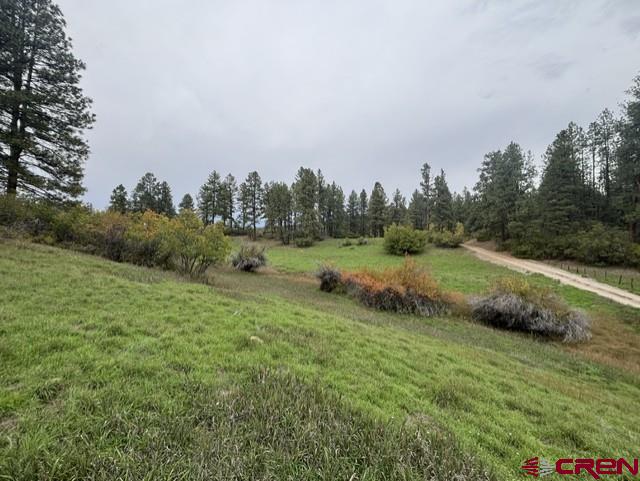 182 Little Bear Drive Property Photo 6