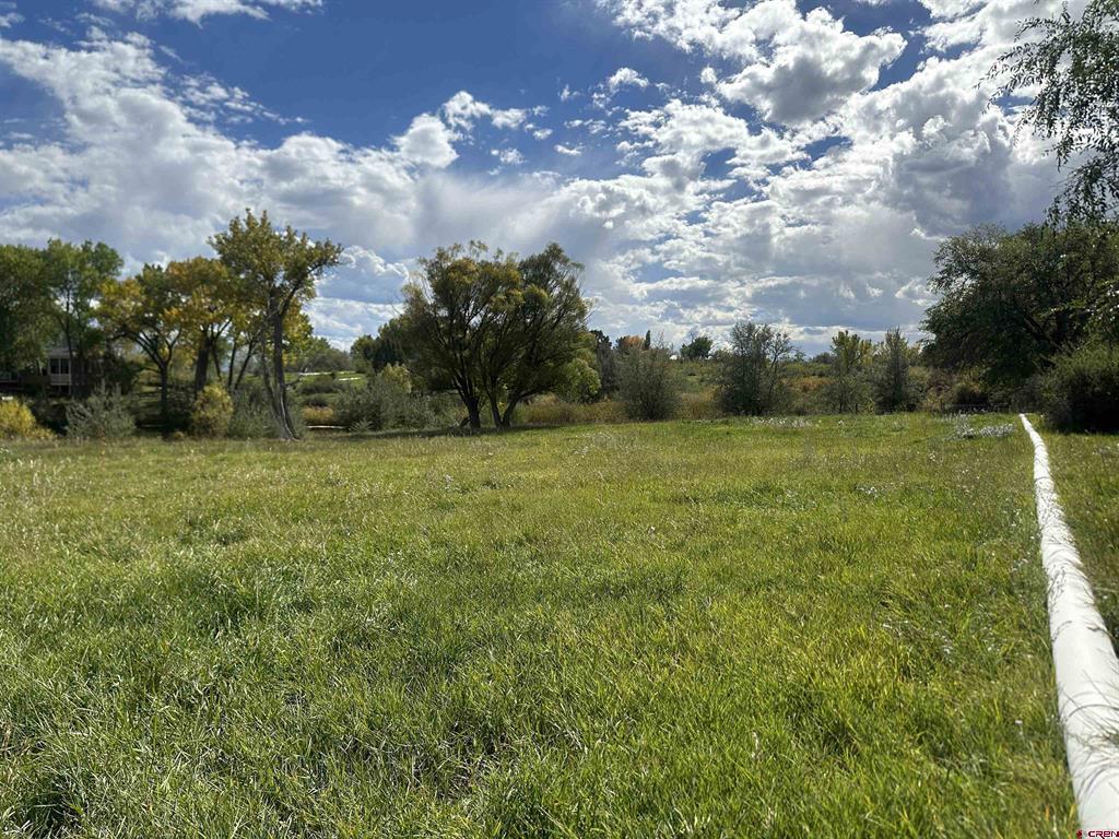 60116 Oak Grove Road Property Photo 34