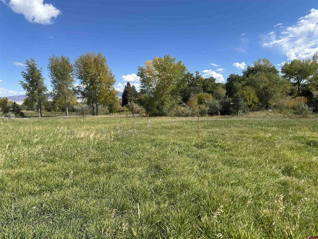 60116 Oak Grove Road Property Photo 35