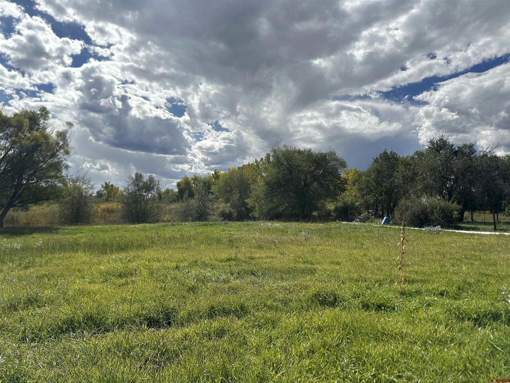 60116 Oak Grove Road Property Photo 36