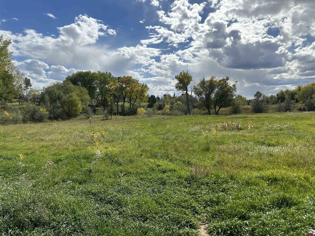 60116 Oak Grove Road Property Photo 37