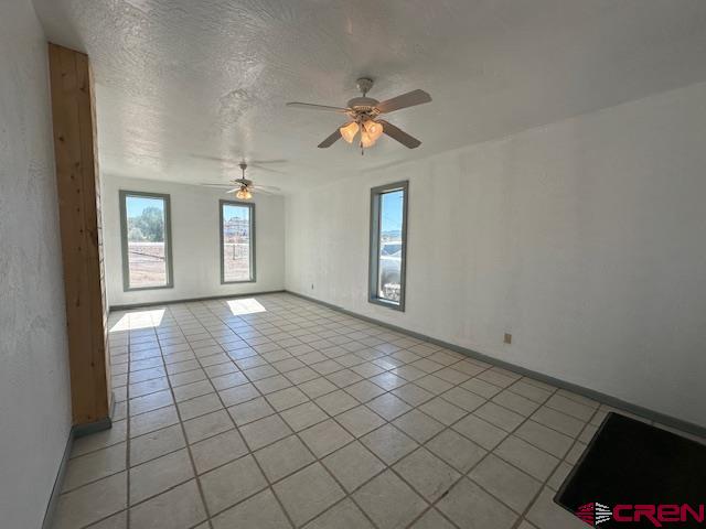 10419 Hwy 491 Property Photo 5